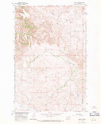 Skaar NW Montana Historical topographic map, 1:24000 scale, 7.5 X 7.5 Minute, Year 1966