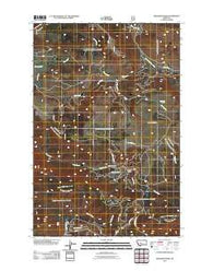 Snedaker Basin Montana Historical topographic map, 1:24000 scale, 7.5 X 7.5 Minute, Year 2011
