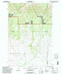 Snow Saucer Coulee Montana Historical topographic map, 1:24000 scale, 7.5 X 7.5 Minute, Year 1995