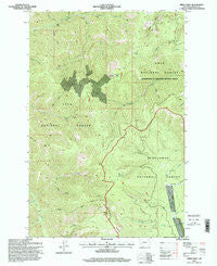 Spink Point Montana Historical topographic map, 1:24000 scale, 7.5 X 7.5 Minute, Year 1996