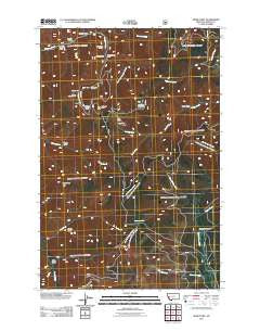Spink Point Montana Historical topographic map, 1:24000 scale, 7.5 X 7.5 Minute, Year 2011