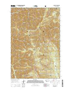 Spink Point Montana Current topographic map, 1:24000 scale, 7.5 X 7.5 Minute, Year 2014