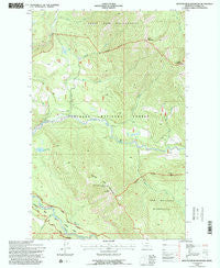 Spotted Bear Mountain Montana Historical topographic map, 1:24000 scale, 7.5 X 7.5 Minute, Year 1994