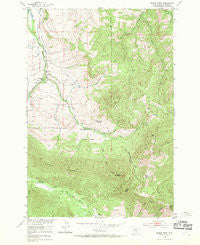 Squaw Peak Montana Historical topographic map, 1:24000 scale, 7.5 X 7.5 Minute, Year 1951