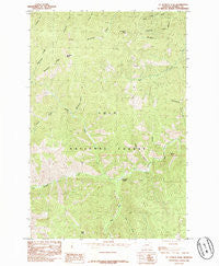 St Patrick Peak Montana Historical topographic map, 1:24000 scale, 7.5 X 7.5 Minute, Year 1985