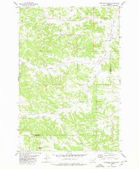 Steamboat Butte Montana Historical topographic map, 1:24000 scale, 7.5 X 7.5 Minute, Year 1980