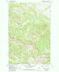 Steamboat Mountain Montana Historical topographic map, 1:24000 scale, 7.5 X 7.5 Minute, Year 1970