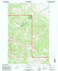 Steamboat Mountain Montana Historical topographic map, 1:24000 scale, 7.5 X 7.5 Minute, Year 1995