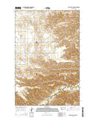 Steele Lake Coulee Montana Current topographic map, 1:24000 scale, 7.5 X 7.5 Minute, Year 2014