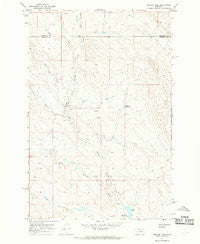 Stellar Lake Montana Historical topographic map, 1:24000 scale, 7.5 X 7.5 Minute, Year 1965