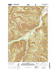 Stine Mountain Montana Current topographic map, 1:24000 scale, 7.5 X 7.5 Minute, Year 2014