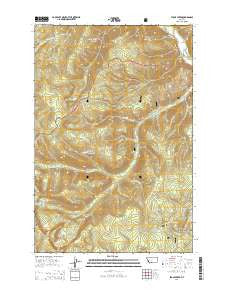 Stony Creek Montana Current topographic map, 1:24000 scale, 7.5 X 7.5 Minute, Year 2014