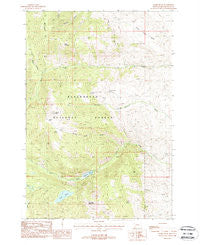 Storm Peak Montana Historical topographic map, 1:24000 scale, 7.5 X 7.5 Minute, Year 1988