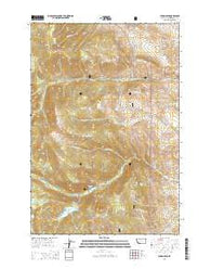 Storm Peak Montana Current topographic map, 1:24000 scale, 7.5 X 7.5 Minute, Year 2014