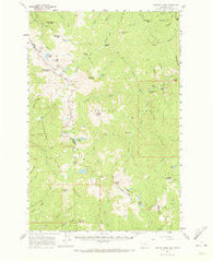 Straight Peak Montana Historical topographic map, 1:62500 scale, 15 X 15 Minute, Year 1960