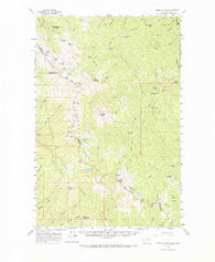 Straight Peak Montana Historical topographic map, 1:62500 scale, 15 X 15 Minute, Year 1960