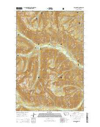 String Creek Montana Current topographic map, 1:24000 scale, 7.5 X 7.5 Minute, Year 2014