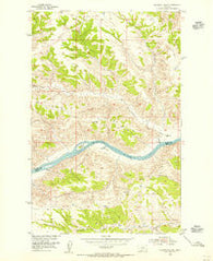 Sturgeon Island Montana Historical topographic map, 1:24000 scale, 7.5 X 7.5 Minute, Year 1954