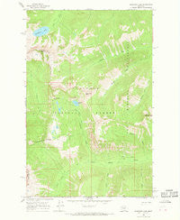 Sunburst Lake Montana Historical topographic map, 1:24000 scale, 7.5 X 7.5 Minute, Year 1965