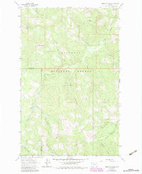 Sunday Mountain Montana Historical topographic map, 1:24000 scale, 7.5 X 7.5 Minute, Year 1963