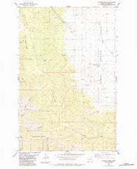 Sunrise Spring Montana Historical topographic map, 1:24000 scale, 7.5 X 7.5 Minute, Year 1984