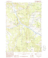 Sunshine Point Montana Historical topographic map, 1:24000 scale, 7.5 X 7.5 Minute, Year 1986
