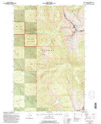 Swan Peak Montana Historical topographic map, 1:24000 scale, 7.5 X 7.5 Minute, Year 1994