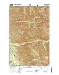 Swan Peak Montana Current topographic map, 1:24000 scale, 7.5 X 7.5 Minute, Year 2014