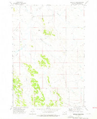 T Creek Montana Historical topographic map, 1:24000 scale, 7.5 X 7.5 Minute, Year 1973