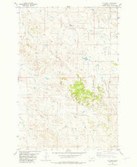 T G Creek Montana Historical topographic map, 1:24000 scale, 7.5 X 7.5 Minute, Year 1981
