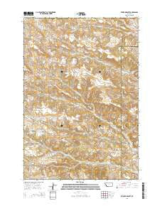Taintor Desert Montana Current topographic map, 1:24000 scale, 7.5 X 7.5 Minute, Year 2014
