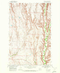 Tampico NE Montana Historical topographic map, 1:24000 scale, 7.5 X 7.5 Minute, Year 1969