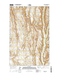 Tampico NE Montana Current topographic map, 1:24000 scale, 7.5 X 7.5 Minute, Year 2014