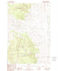 Tash Peak Montana Historical topographic map, 1:24000 scale, 7.5 X 7.5 Minute, Year 1988