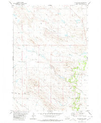 Taylor Hills Montana Historical topographic map, 1:24000 scale, 7.5 X 7.5 Minute, Year 1980