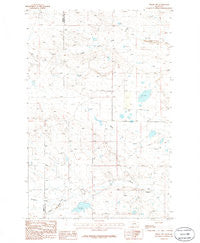 Teigen NW Montana Historical topographic map, 1:24000 scale, 7.5 X 7.5 Minute, Year 1986