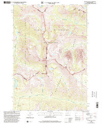 Tenmile Lake Montana Historical topographic map, 1:24000 scale, 7.5 X 7.5 Minute, Year 1998