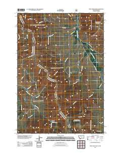 Tepee Mountain Montana Historical topographic map, 1:24000 scale, 7.5 X 7.5 Minute, Year 2011