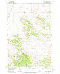 Terrell Creek Montana Historical topographic map, 1:24000 scale, 7.5 X 7.5 Minute, Year 1980