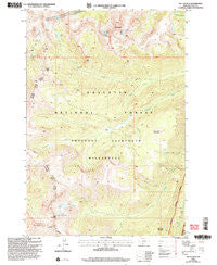 The Needles Montana Historical topographic map, 1:24000 scale, 7.5 X 7.5 Minute, Year 2000