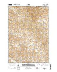 The Dugout Montana Current topographic map, 1:24000 scale, 7.5 X 7.5 Minute, Year 2014