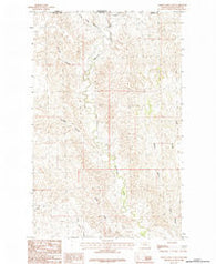 Thoeny Hills East Montana Historical topographic map, 1:24000 scale, 7.5 X 7.5 Minute, Year 1984