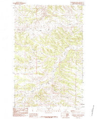 Thompson Coulee Montana Historical topographic map, 1:24000 scale, 7.5 X 7.5 Minute, Year 1985