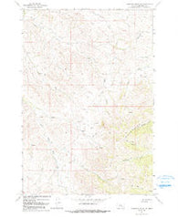Thompson Creek NW Montana Historical topographic map, 1:24000 scale, 7.5 X 7.5 Minute, Year 1967