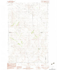 Thornwood Ranch Montana Historical topographic map, 1:24000 scale, 7.5 X 7.5 Minute, Year 1983