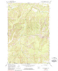 Thunder Mountain Montana Historical topographic map, 1:24000 scale, 7.5 X 7.5 Minute, Year 1967