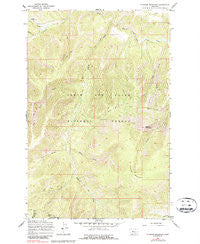 Thunder Mountain Montana Historical topographic map, 1:24000 scale, 7.5 X 7.5 Minute, Year 1967