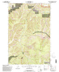 Thunder Mountain Montana Historical topographic map, 1:24000 scale, 7.5 X 7.5 Minute, Year 1995