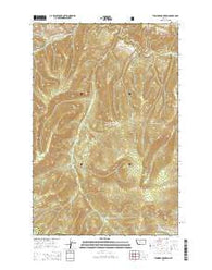 Thunder Mountain Montana Current topographic map, 1:24000 scale, 7.5 X 7.5 Minute, Year 2014