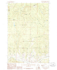 Thunderbolt Creek Montana Historical topographic map, 1:24000 scale, 7.5 X 7.5 Minute, Year 1985